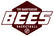 BEES-Merch – Home